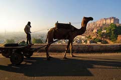 Jodhpur - Zum Vergroessern klicken!